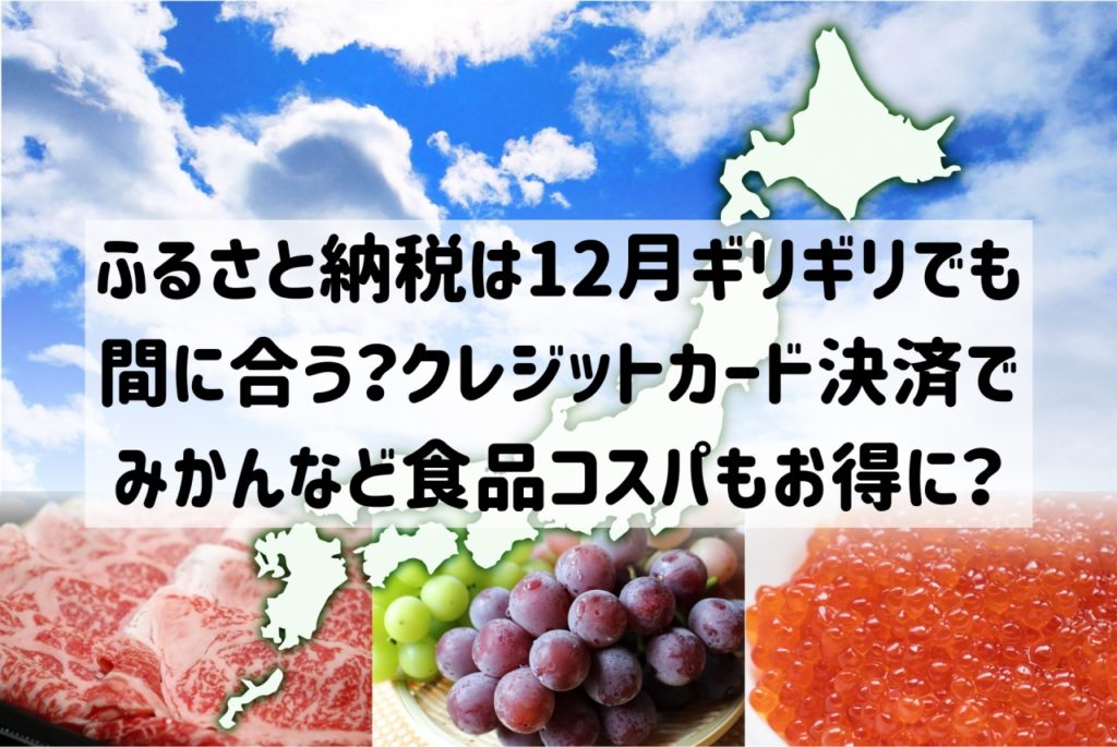 ふるさと納税は12月ギリギリでも間に合う？クレジットカード決済でみかんなどのコスパもお得に？ 食のエトセトラ